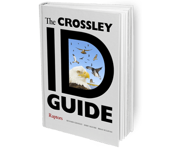 The Crossley ID Guide: Raptors